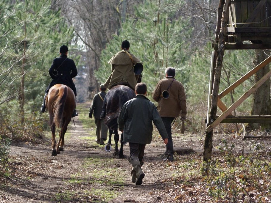 activité loisirs chasse parc cheval sanglier chevreuil chateau de salvert foret de salvert