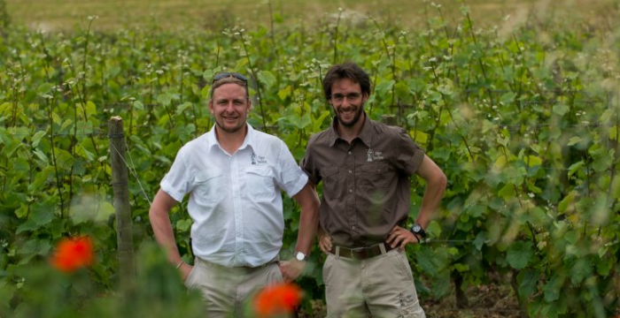 Vignerons du Château de Fosse Sèche vignes Vins de Loire Val de Loire Caves logo