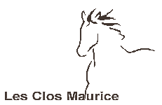 Les clos maurice logo