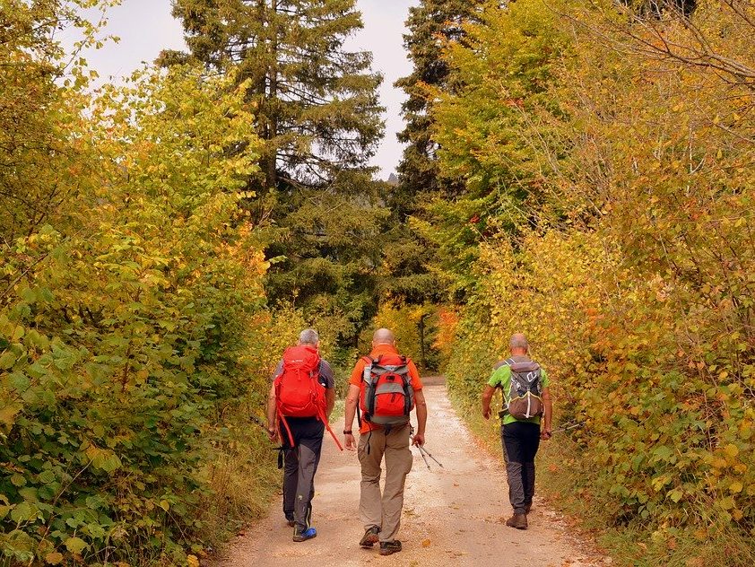 activité tourisme Ballade à pied en forêt durant l'automne
